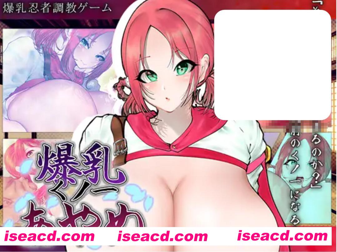 【养成SLG/AI汉化】爆乳女忍者菖蒲/爆乳くノ一あやめ AI汉化版+全回想 【1.2G/新作】