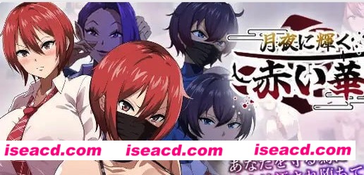 【爆款/精品/RPG/AI汉化/MTool】月夜下辉映的赤红之花正式版【PC/1.8G】