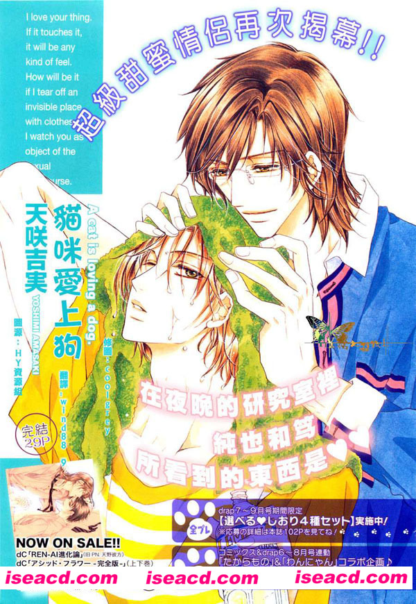 [天咲吉実][漫画]【猫咪爱上狗】[全收录][完结][汉化][百度盘]