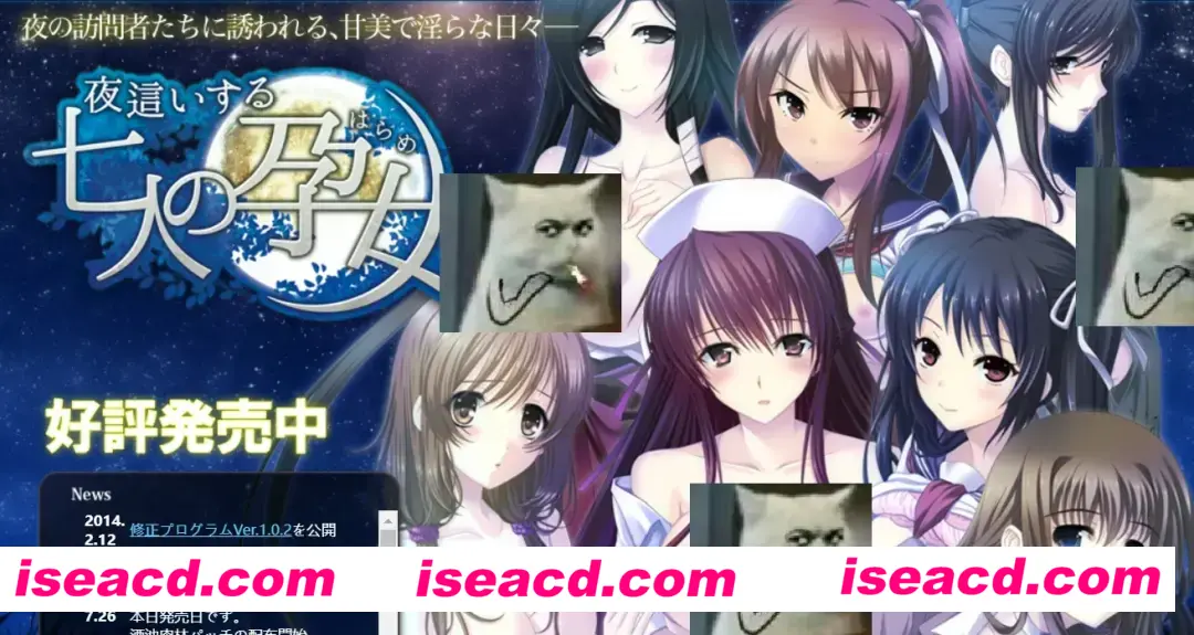 【日式ADV/AI汉化/拔作】夜袭与七名孕女 The Motion 夜這いする七人の孕女 The Motion Claude-3-7AI汉化版【2.7G/全CV】