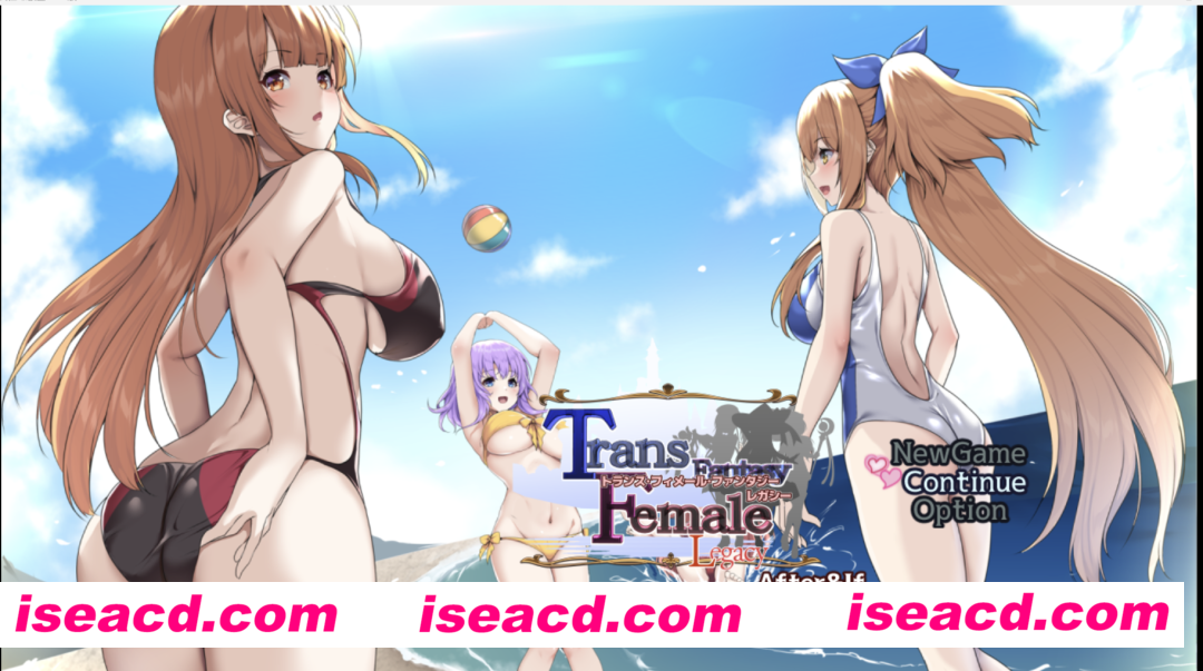 【日式RPG/AI汉化/PC+安卓】TS幻想·遗产 After&If  トランス・フィメール・ファンタジー レガシー After&If AI汉化版 【800M/CV】