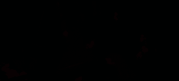 【横版ACT/中文】《笠鬼 The Devil Within Satgat》正式版 官方中文硬盘版【7G/新作】