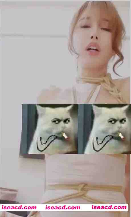 [视频/步兵] 推特福利姬：辛尤里 尤物圈养 步兵赞助 [1V] [380M]