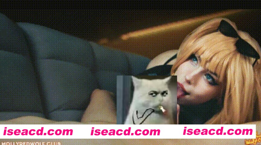 【COSPLAY/视频】[2025-07-02][mollyredwolf] 绝区零 伯妮斯 步兵 [1v]【900M】