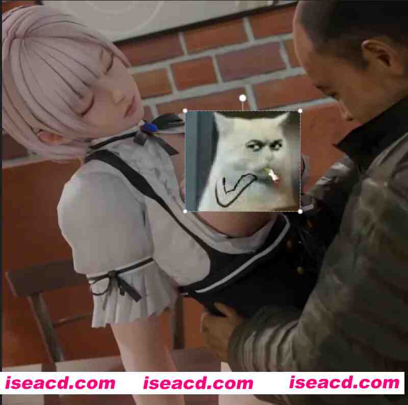 [3D动画/步兵] 大叔迷晕店里的黑丝女仆后抱起来狠狠享用 [1V] [200M/CV]