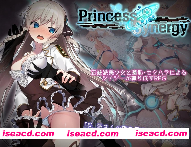 [神级RPG/新汉化/修复黑屏闪退] 公主协同效应 プリンセスシナジー Princess Synergy v1.03 内嵌汉化版+全CG存档[FM/百度/2.1G]