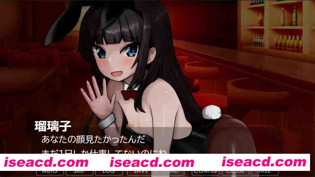 [日式ADV/汉化/PC+安卓] 我的琉璃子的兔女郎体验记 僕の瑠璃子のバニー体験記 叶酱内嵌汉化版 [500M/新作]