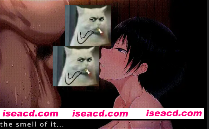 [2D动画/步兵] EleanorNTR 2D动画 爆RU肥臀同人 夏色泡影 有CV 22分 [1v] [300M/CV]